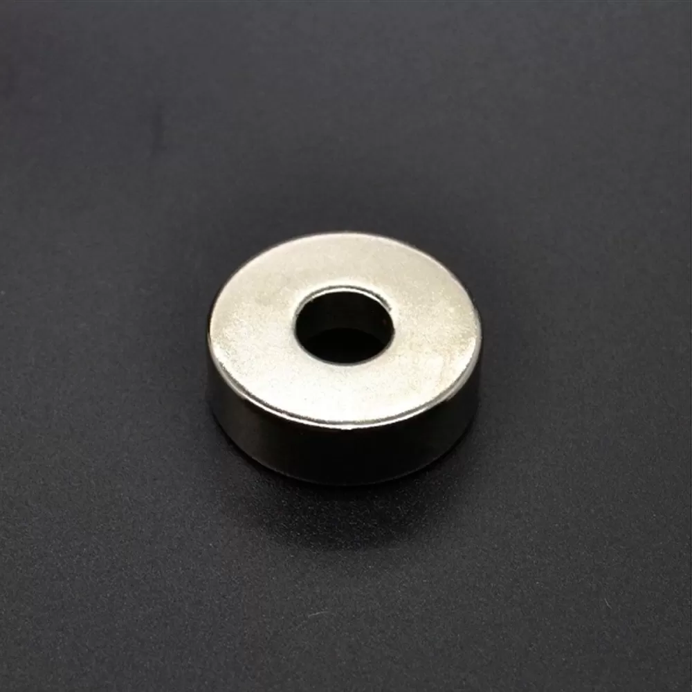 Magnet Neodim INEL D20 mm x L6 mm x H10 mm